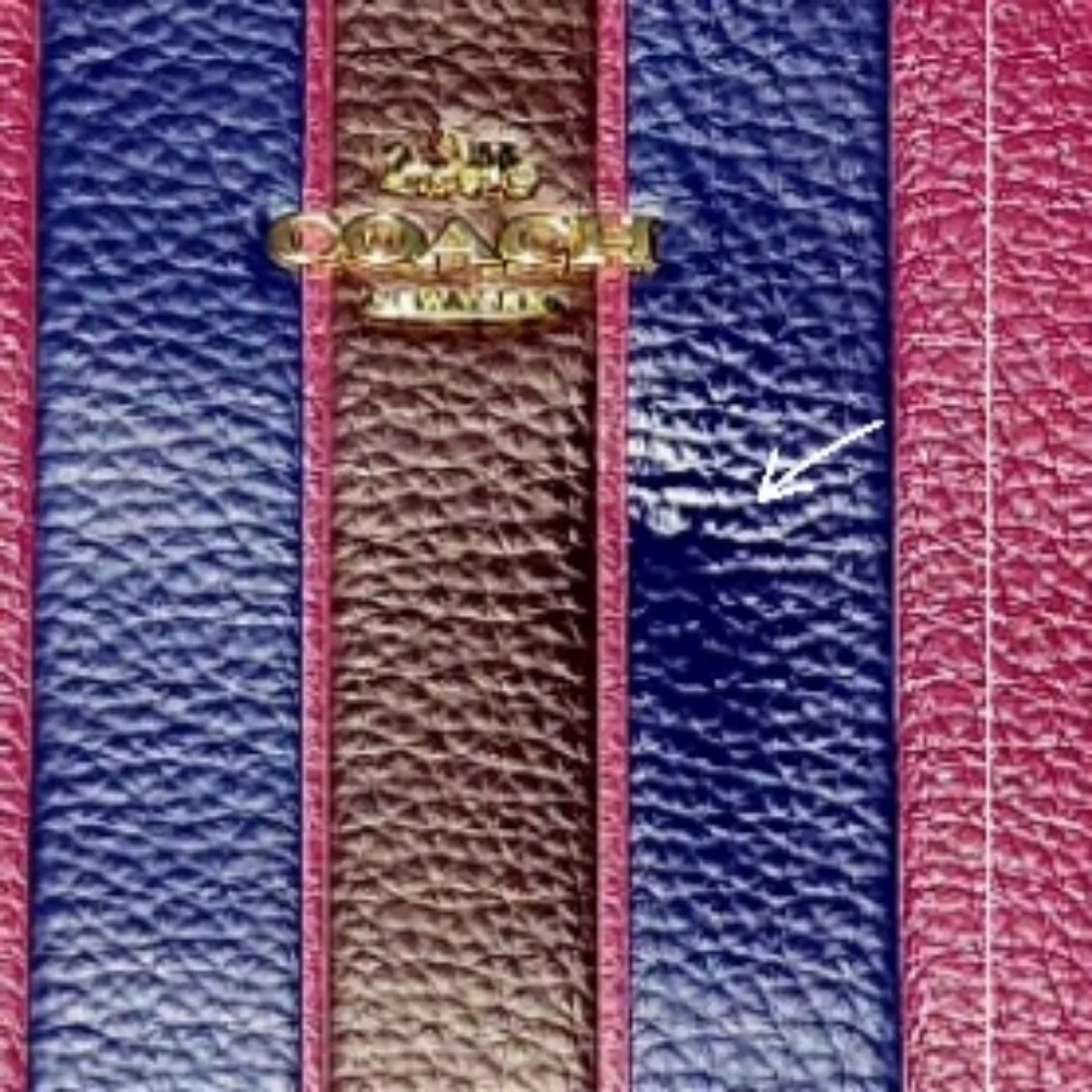 Coach Jes Gallery Pouch